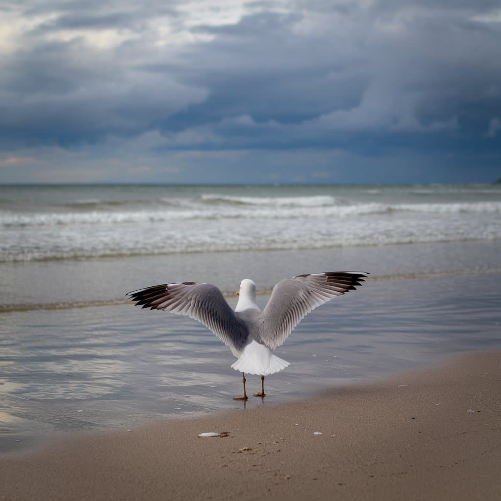 The Secrets Of Birdwatching Beach Birds